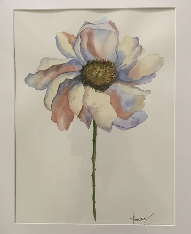 Akvarell av Annelie Johansson