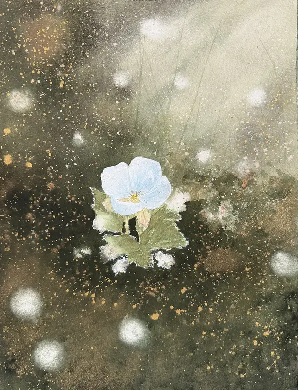 Akvarell Hjortronblomma av Desirée Rutqvist