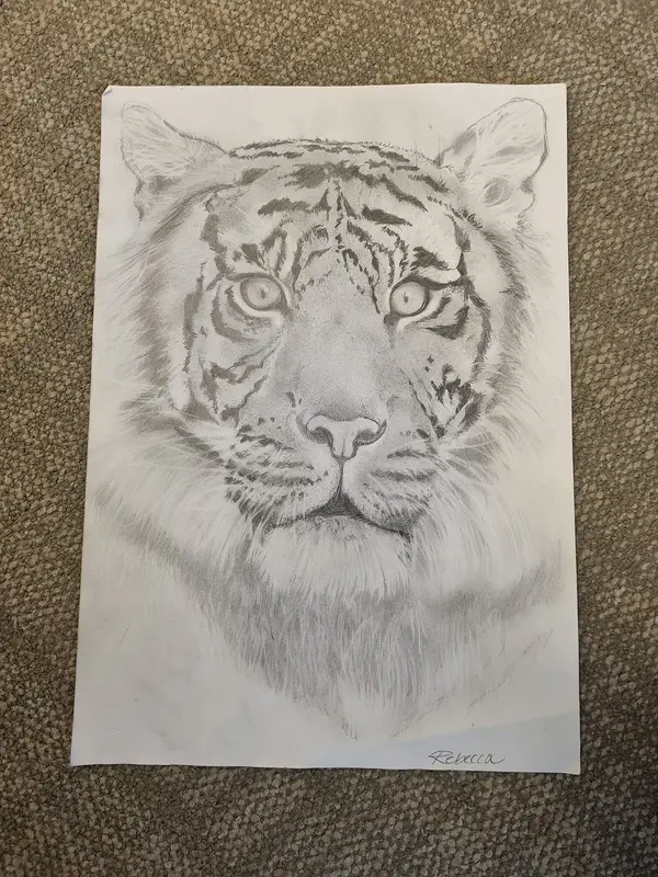 Tiger av Rebecca Berglund