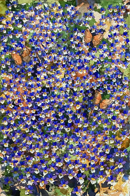 Akvarell Symbios 10 av Tord Wennerblom