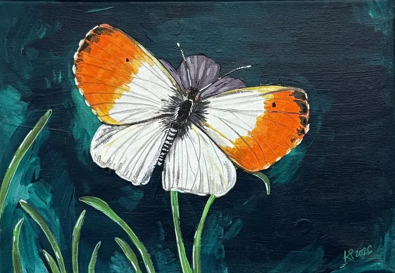 Akrylmålning Fjäril av Karolina Pronckute