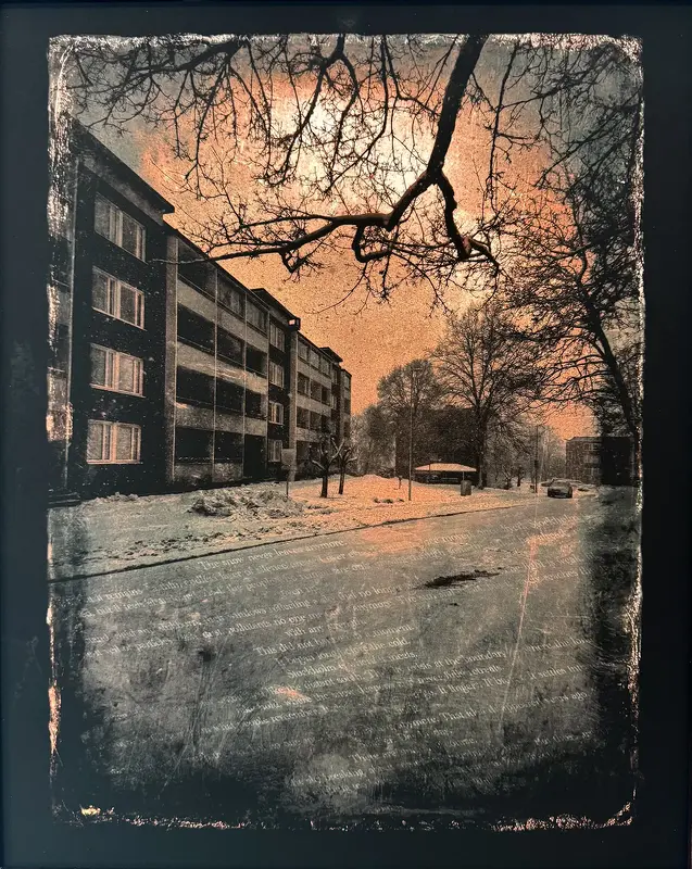 Light of the North av The Fleurs