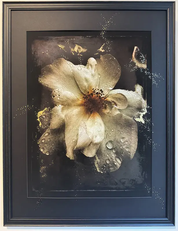 Innocent as Morning Dew, gold av The Fleurs