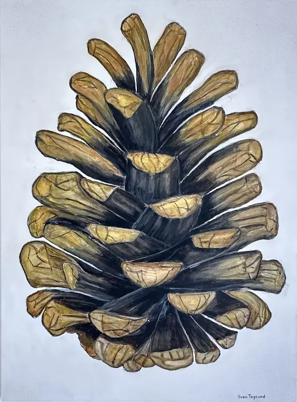 Akvarell Tallkotten av Sven Teglund