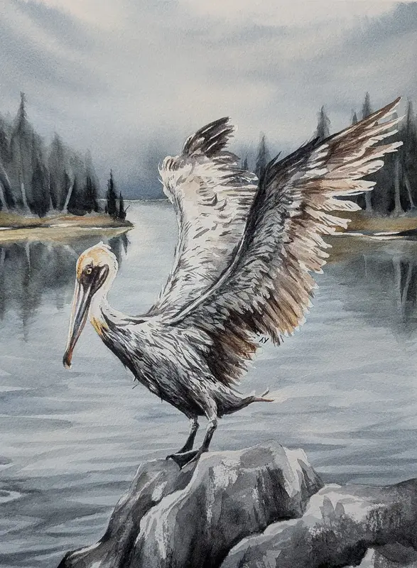 Akvarell Pelikan av Tove Y