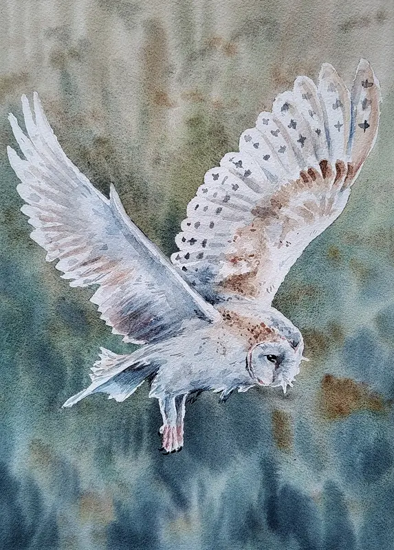 Akvarell Tornuggla av Tove Y