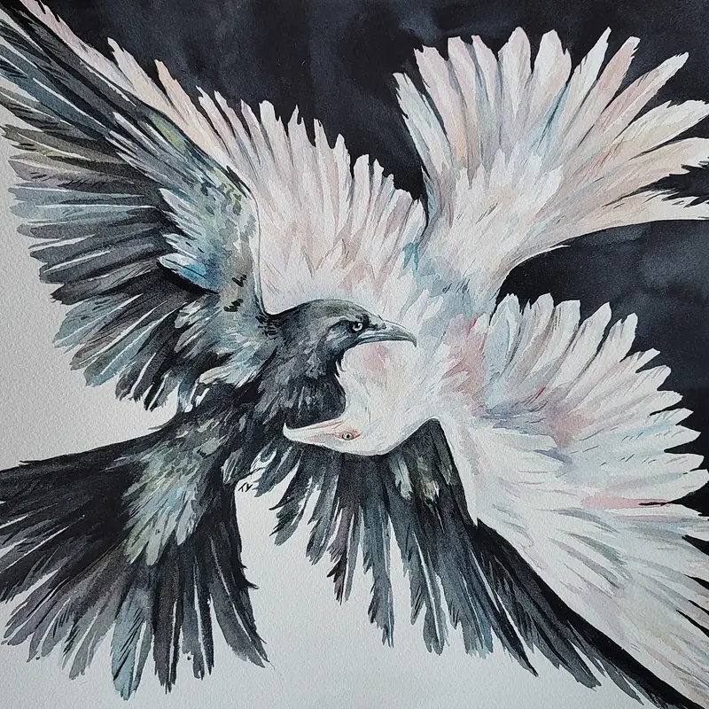 Akvarell Svart och vitt av Tove Y