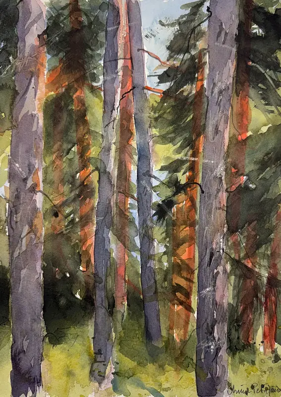 Akvarell Kvällssol av Minna Petäjäniemi