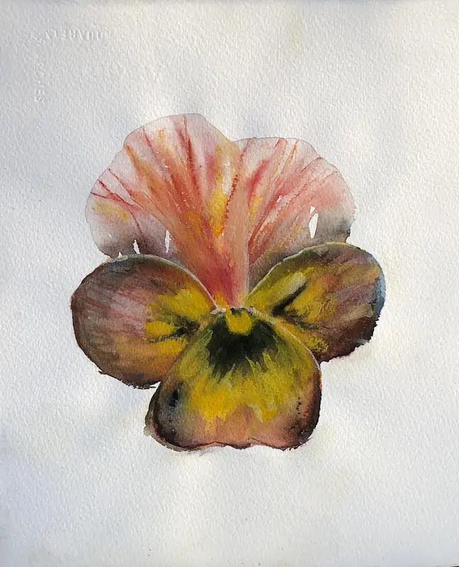 Akvarell Nature Mulberry Shades av Christina Olsson