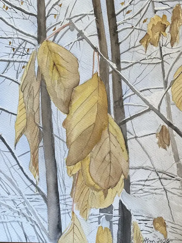 Akvarell Vinterlöv av Göran von Ahn