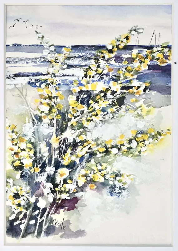 Akvarell Forsythia, Skärgården av Cécile Hansson