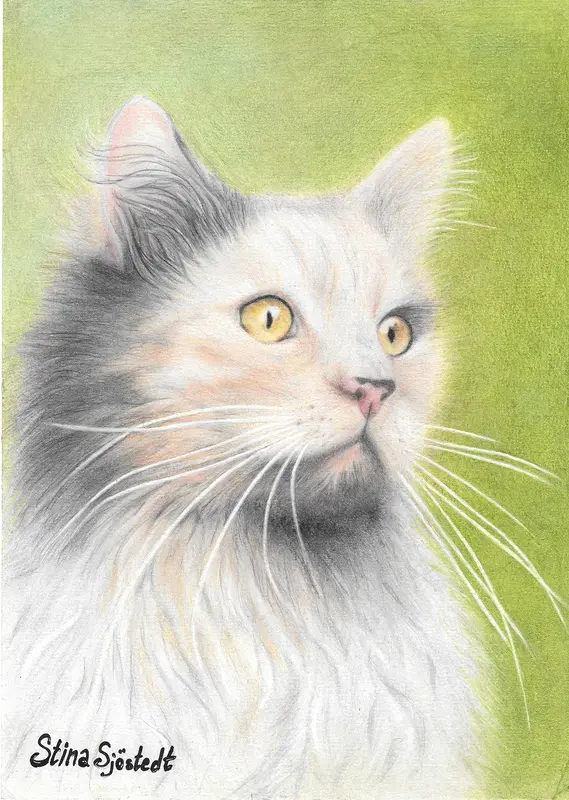 Blenda-porträtt av Stina Sjöstedt