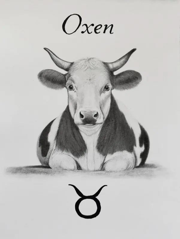 Stjärntecknet oxen av Nina Ringbom