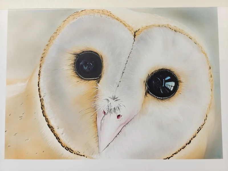 Deep eyes av Tomas Andersson
