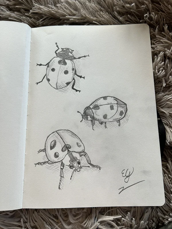Ladybugs av Ellen Giertz