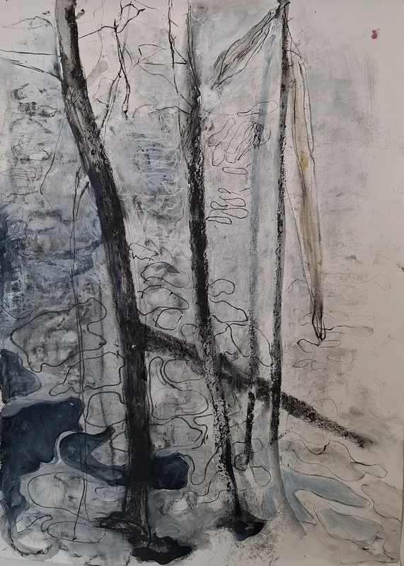 Isvinter av Eva Harrie