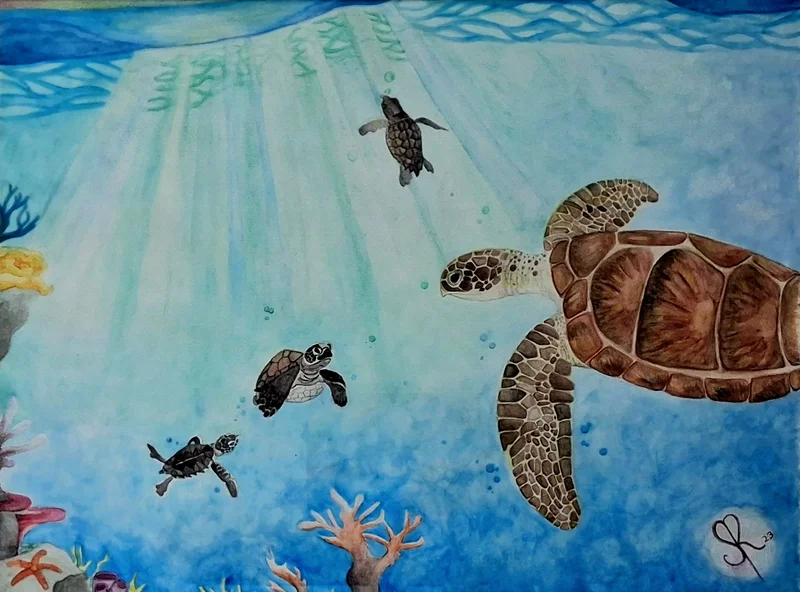 Shailin Palin