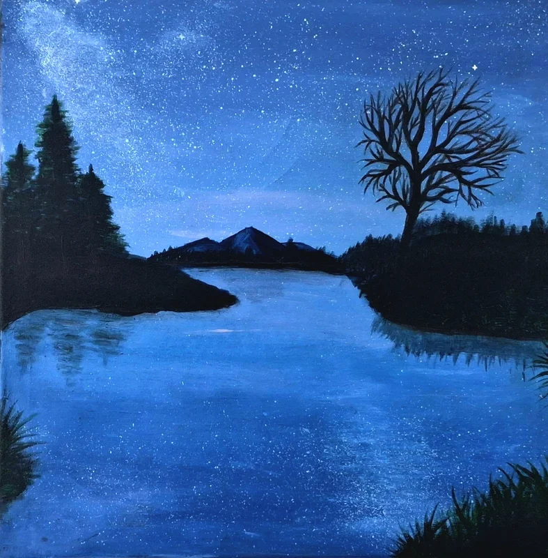Shailin Palin