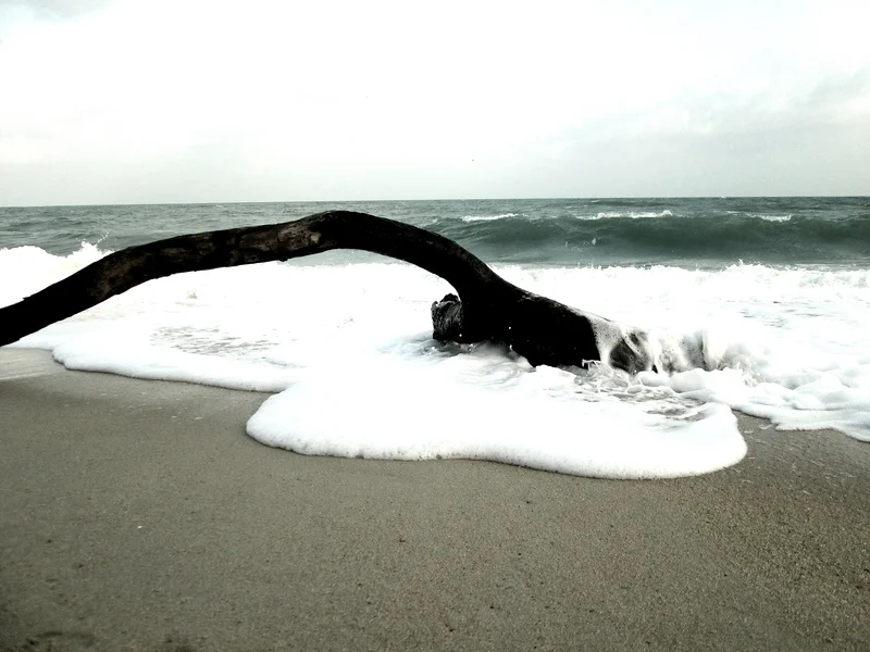 Ocean-Koh Sanui av Johanna Hertzberg