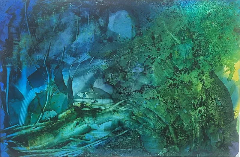Nocturnal light av Ann-Charlotte Ahlin