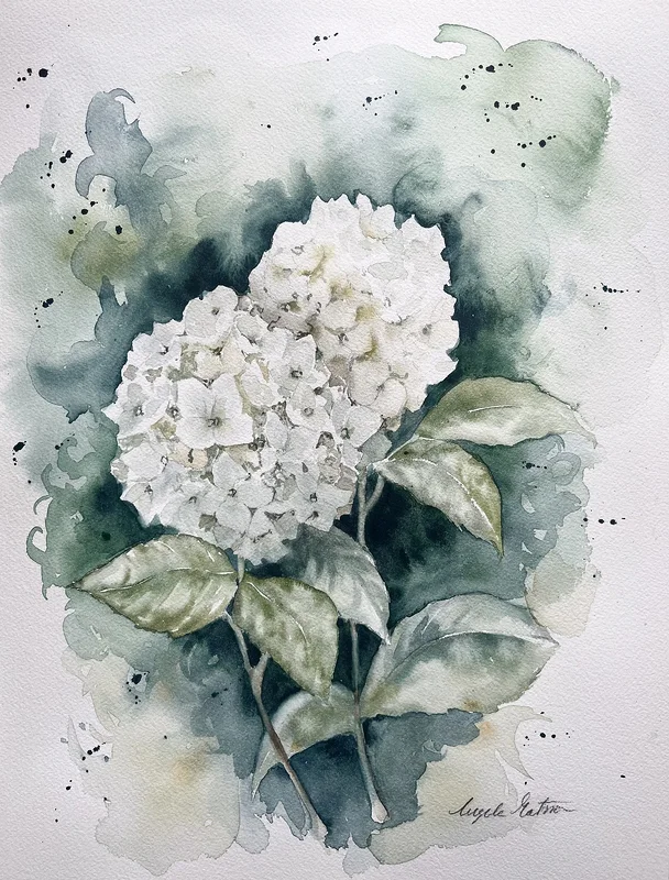 Akvarell Hortensia av Ingela Matsson