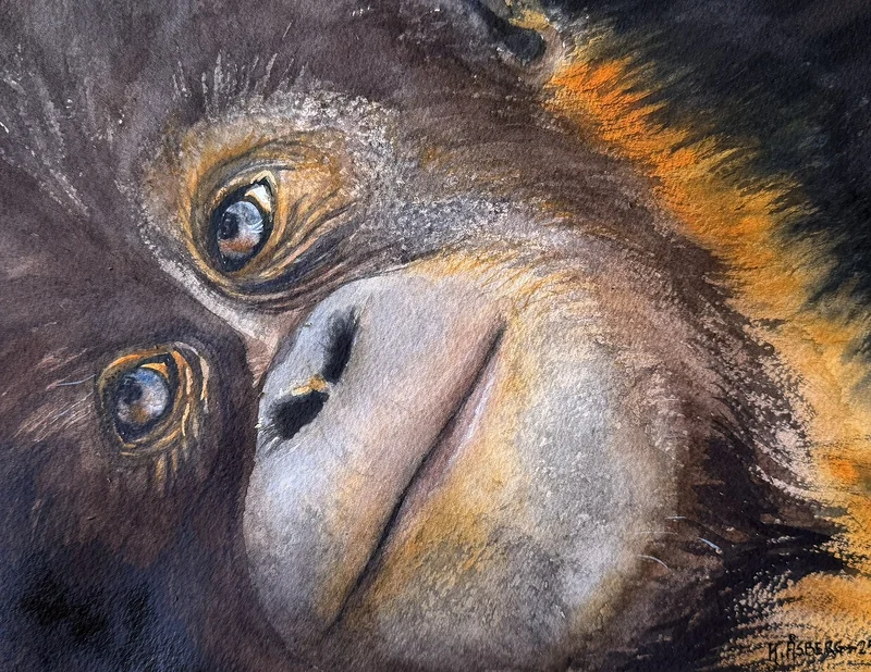 Akvarell Monky Fejs av Katarina Åsberg