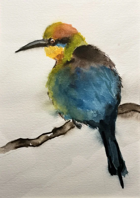 Akvarell From my Australian birds series av Barbara Månsson