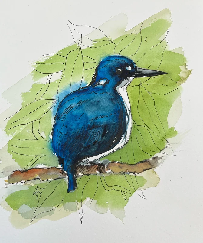 Akvarell From my Australian birds series av Barbara Månsson