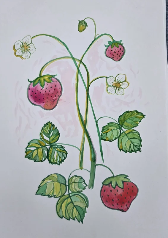 Akvarell Fragaria av Cristina Stef