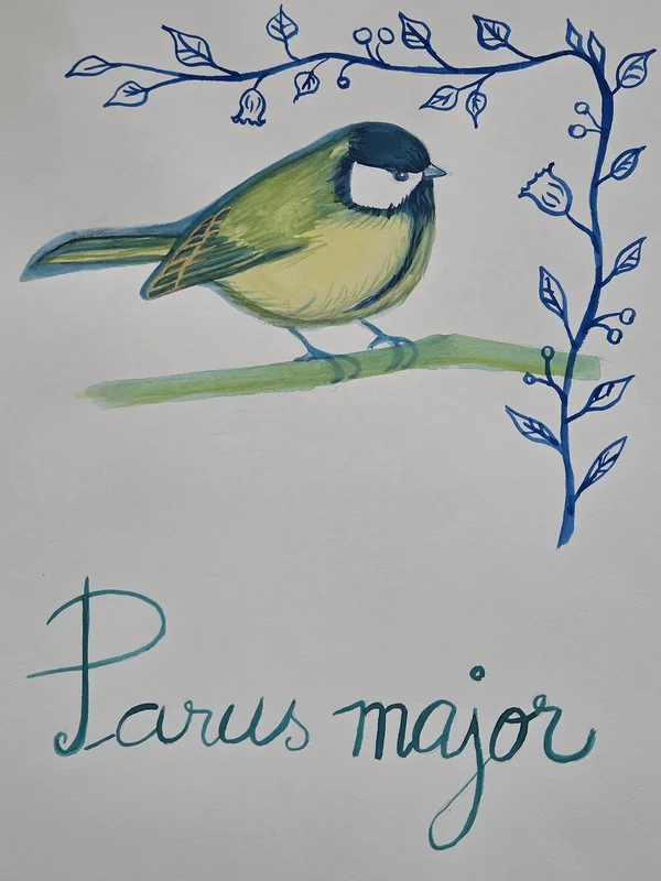 Akvarell PARUS major av Cristina Stef