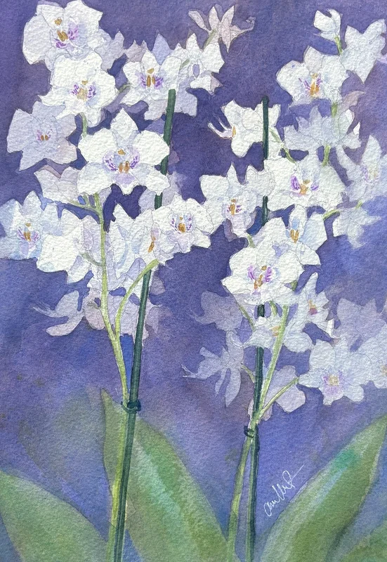 Akvarell Myller av blommor av Anna Wolf