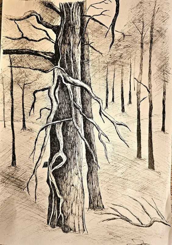I tallskogen av Linda Perminger