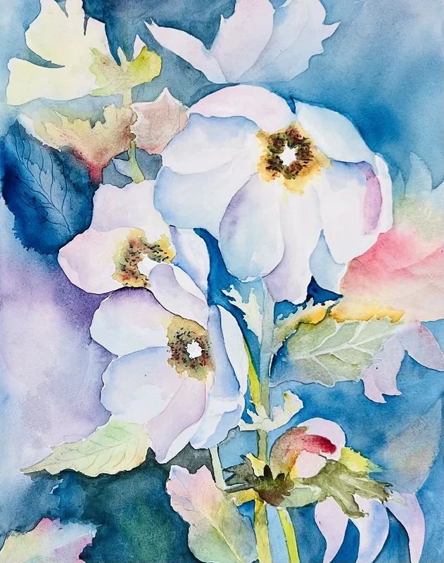 Akvarell Vita blommor av Ewa Helzen