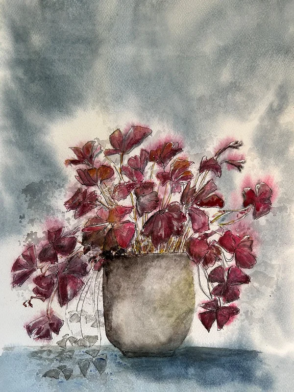 Akvarell Oxalis av Inger Axbrink