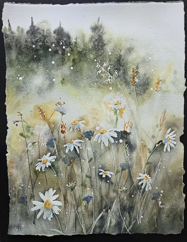 Akvarell Prästkrags-sommar av Mia Älegård