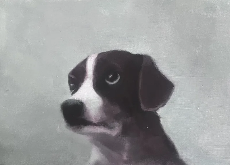 Oljemålning Memedog 2 av Marie-Louise Cajback