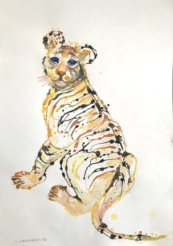 Akvarell Tigerunge. av Ulla Weckström