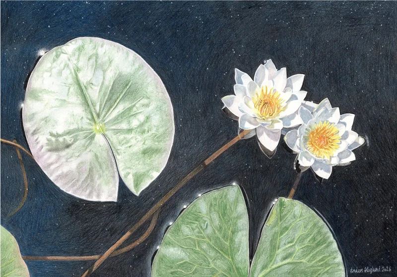 Rymdblommor av Anders Haglund