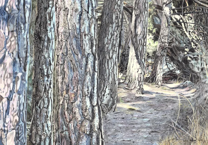 Tallskogen av Anders Haglund