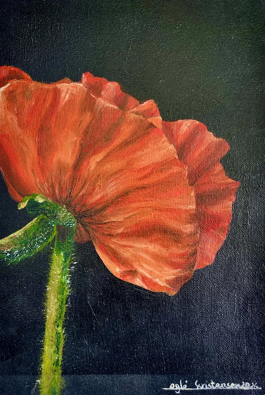 Oljemålning Garden poppy av Egle Kristensen