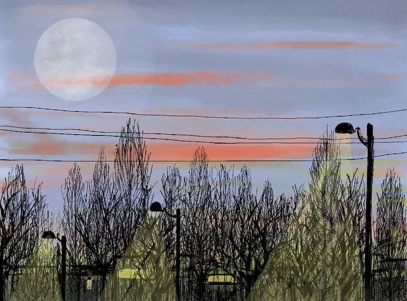 Evening lights av Mahtab Hosseinalizadehshalmani