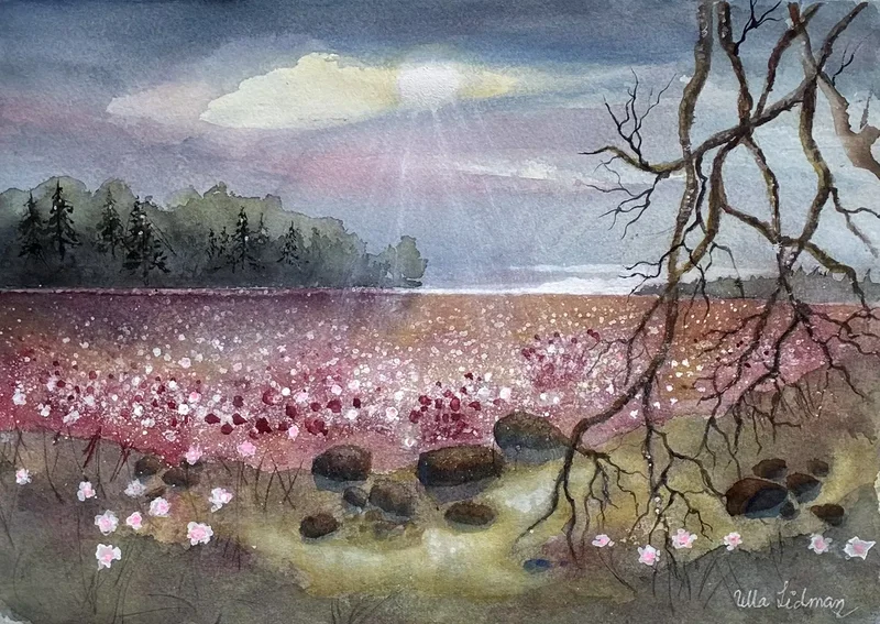Akvarell Rosa äng av Ulla Lidman