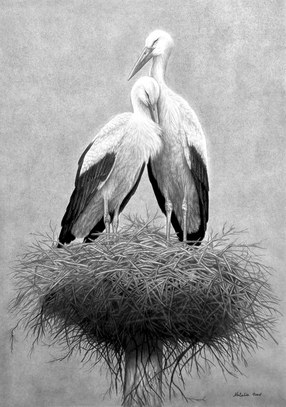 Home, At Last av Natalia Orest