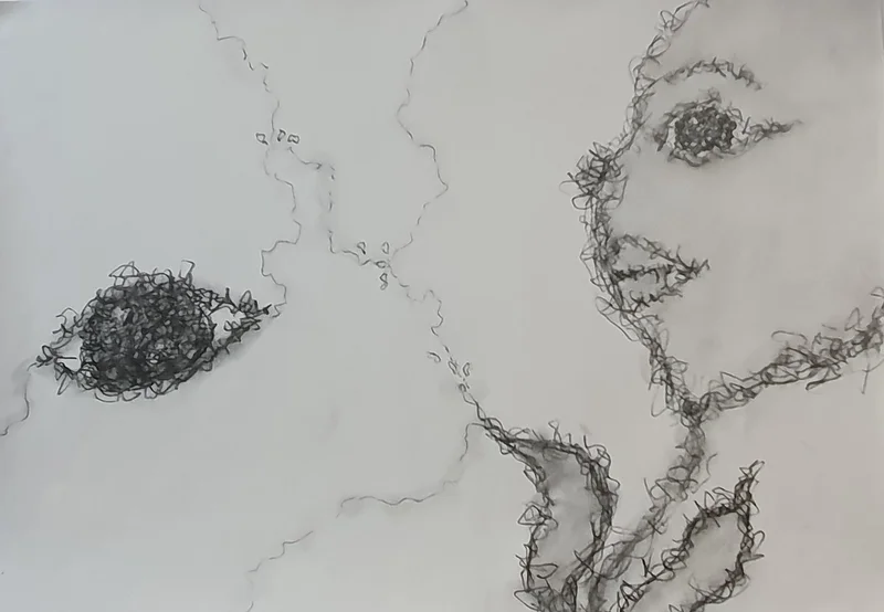 When thoughts wander av Maria Tyni Nilsson
