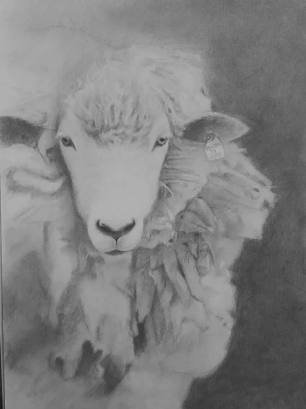 Lost sheep av David Asefaw