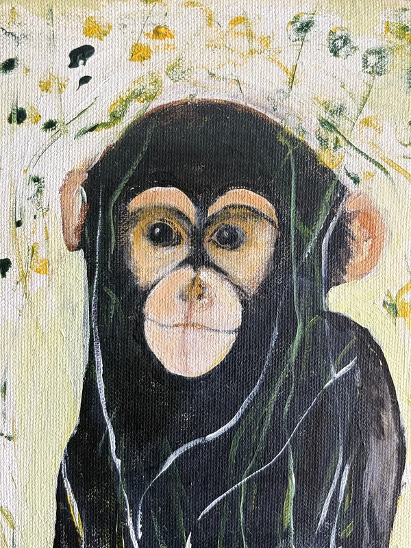 Akrylmålning Schimpans 1 av Susanne Lindequist