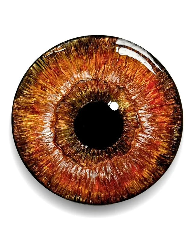 Eye of amber av Sara Kidby