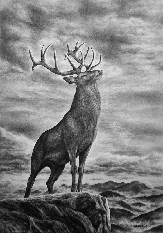 Solitude av Natalia Orest