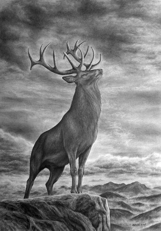 Solitude av Natalia Orest