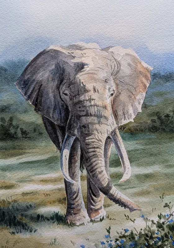 Akvarell Elephant av Tove Y